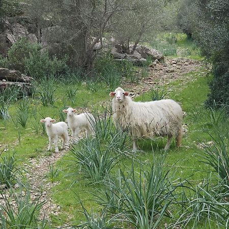 אלרו Agroturismo Finca Can Sec מראה חיצוני תמונה