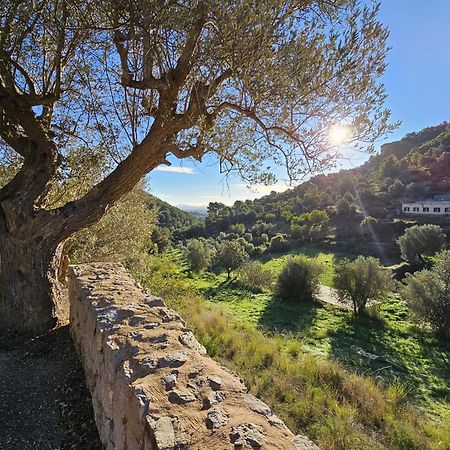 אלרו Agroturismo Finca Can Sec מראה חיצוני תמונה