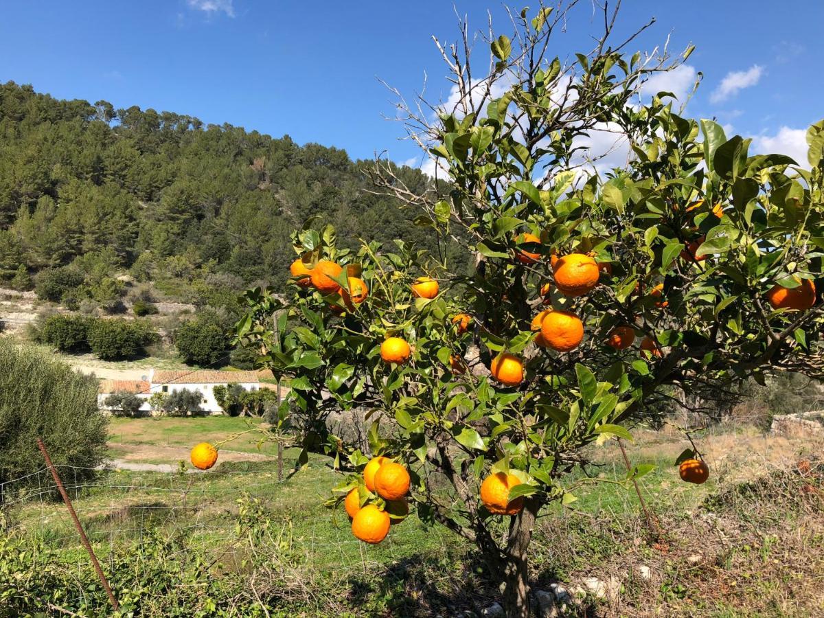 אלרו Agroturismo Finca Can Sec מראה חיצוני תמונה