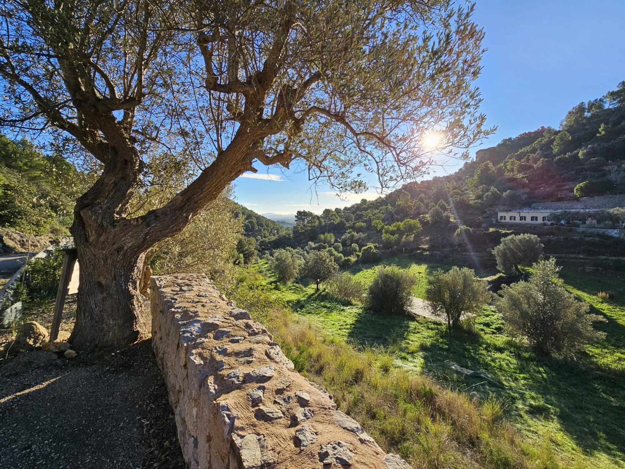 אלרו Agroturismo Finca Can Sec מראה חיצוני תמונה
