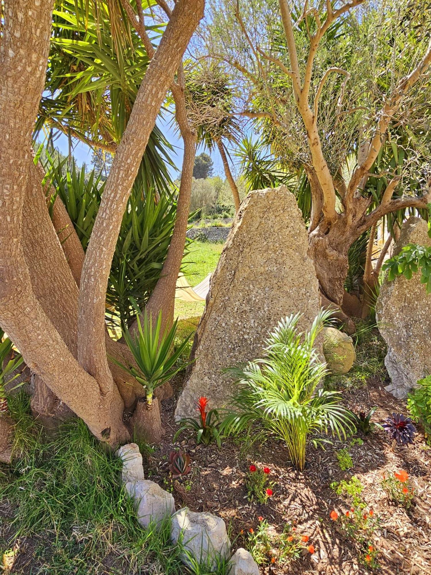 אלרו Agroturismo Finca Can Sec מראה חיצוני תמונה